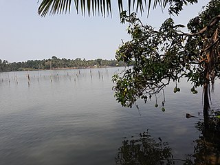 <span class="mw-page-title-main">Tirur River</span>