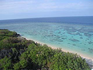 <span class="mw-page-title-main">Apo Reef</span> Coral reef in the Philippines