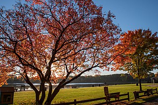 Rochester Hills, Michigan City in Michigan, United States