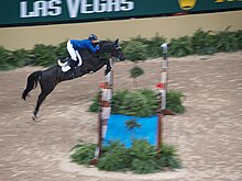 Sur un parcours officiel, une cavalière et son cheval bai foncé franchissent un gros et large oxer surplombant un bidet entouré de plantes vertes.