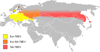 <span class="mw-page-title-main">Tick-borne encephalitis</span> Medical condition