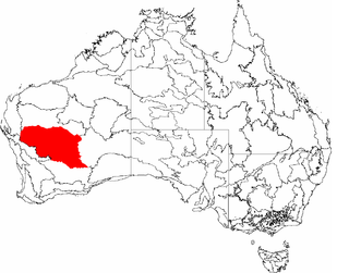 <span class="mw-page-title-main">Murchison (Western Australia)</span> Bioregion in Western Australia