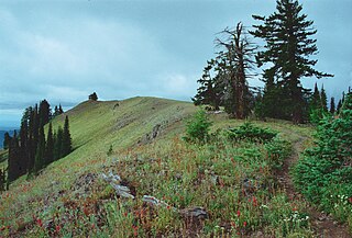 <span class="mw-page-title-main">Umatilla National Forest</span> National forest in the U.S. states of Oregon and Washington