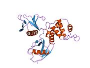 PDB 1sgh EBI.jpg