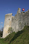 Die Schildmauerseite der Burg