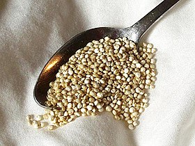 Quinoa, o "grão de ouro"