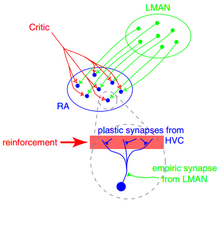 Synaptic plasticity rule for gradient estimation by dynamic perturbation of conductances Synaptic Plasticity Rule.png