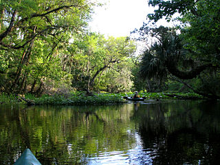 <span class="mw-page-title-main">Wekiva River</span> River in Florida, United States of America