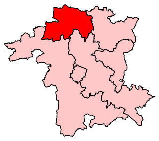 <span class="mw-page-title-main">Wyre Forest (UK Parliament constituency)</span>