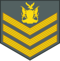 04-Namibia Army-SSG.svg