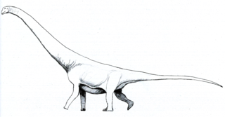 <i>Andesaurus</i> Extinct genus of dinosaurs