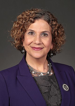 <span class="mw-page-title-main">Claire Celsi</span> American politician