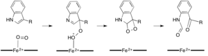 Dioxetane Mechanism.png