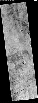 Wide view of dust devil tracks, as seen by HiRISE under HIWish program