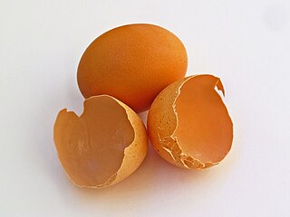 <span class="mw-page-title-main">Eggshell membrane</span>