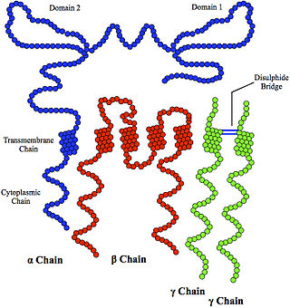 <span class="mw-page-title-main">FCER1</span>