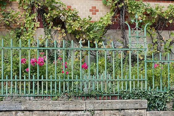 in Stuttgart Ost grenzt der Zaun die schönen Vorgärten ab