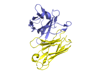 <span class="mw-page-title-main">Golimumab</span> Pharmaceutical drug