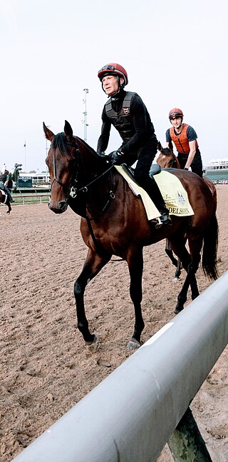 <span class="mw-page-title-main">Mendelssohn (horse)</span> American-bred Thoroughbred racehorse