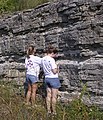 Outcrop ng Itaas na batong apog na Ordovician at menor na shale, sentral na Tennesee