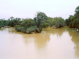 <span class="mw-page-title-main">Paroo River</span> River in Queensland and New South Wales, Australia