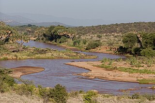 <span class="mw-page-title-main">Ewaso Ng'iro</span> River in Kenya