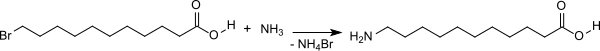 Synthese von 11-Aminoundecansäure