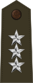 U.S. Army