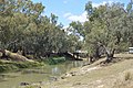 English: Willanthry Bridge at Wallanthery, New South Wales