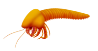 Acheronauta, a possible mandibulate arthropod from the Waukesha biota.