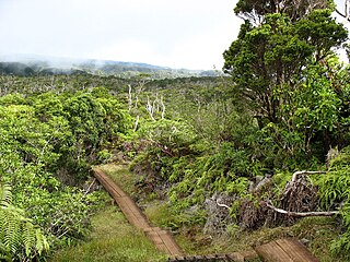 <span class="mw-page-title-main">Alakaʻi Wilderness Preserve</span> Wet forest on the Hawaiian island of Kauaʻi, United States