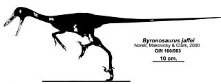 <i>Byronosaurus</i> Extinct genus of dinosaurs