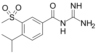 <span class="mw-page-title-main">Cariporide</span> Chemical compound