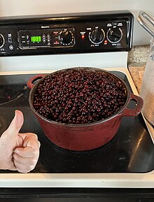 Many chokecherries in a red Dutch oven on the stove.