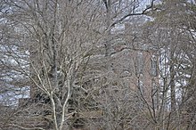 Elm Hill through the trees.jpg