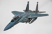 From 2029, fifty F-15IAs, based on the USAF's new F-15EX Eagle II, will replace the aging F-15A/B/C/D Baz at Tel Nof