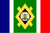Vlag van Johannesburg