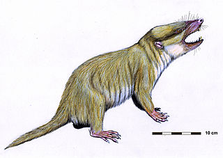 <span class="mw-page-title-main">Gobiconodontidae</span> Extinct family of mammals