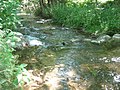 Wildwasser zwischen Granziner- und Pagelsee