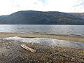 Mara lake from the beach at mara provincial park