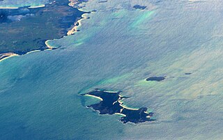 <span class="mw-page-title-main">Cygnet Island</span> Island in Tasmania, Australia