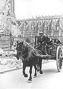 Flyktninger forlater den franske byen Caen, bak dem en bombet katedral (stor versjon)