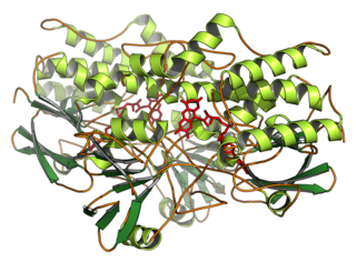 <span class="mw-page-title-main">Flavin-containing monooxygenase</span> Class of enzymes