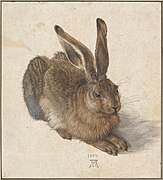 Albrecht Dürer, "Noor jänes" (1502)