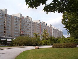 Flats in Rosengård.