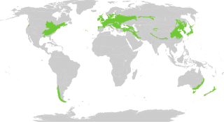 <span class="mw-page-title-main">Temperate broadleaf and mixed forests</span> Biome