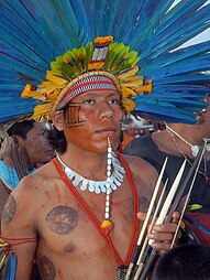 Photograph of shirtless young man wearing headdress of blue feathers