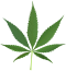 WikiProject Cannabis