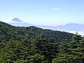 南の眺望 富士山と毛無山(右)