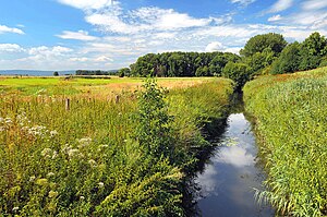 River Haller in Germany